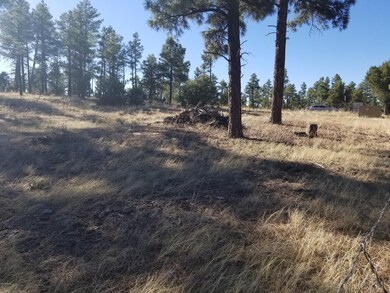 0 Whipple and Central unit 219962, Show Low, AZ 85901 - photo 5