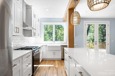 Lots of Cabinet and Counter Space