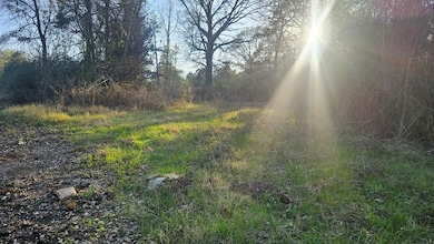 607 Co Rd 134, Garrison, TX 75946 - photo 3