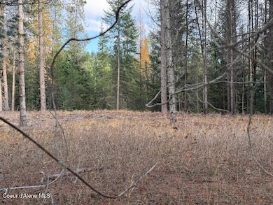 171 (temp) Bear Rd, Priest River, ID 83856 - photo 3