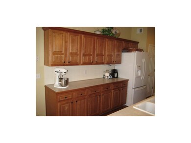 Plenty of Beautiful Cabinets and Countertop Space!