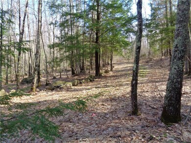 0 Mast Rd, Alfred, ME 04002 - photo 2