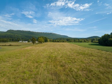 0 Water Front Place unit 1517821, Jasper, TN 37347 - photo 7
