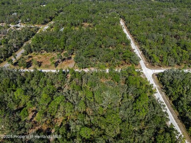 0 Norway St unit 2256792, Webster, FL 33597 - photo 6