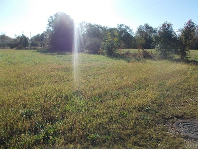 713 N Broad St, Edenton, NC 27932 - photo 7