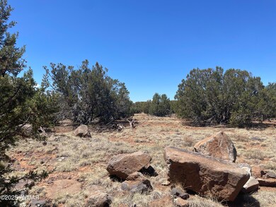 108 Colorado Ave, Concho, AZ 85924 - photo 4