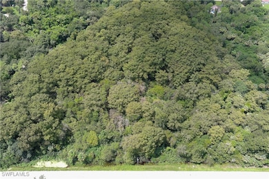 5106 Taylor Rd N, Immokalee, FL 34142 - photo 6