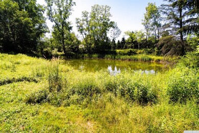 1268 State Route 295, East Chatham, NY 12060 - photo 5