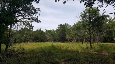 Lot 75 Riner Rd, Pottsboro, TX 75076 - photo 6