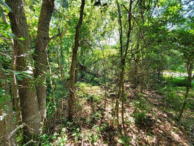 000 Morey Hill Rd, Baconton, GA 31716 - photo 7