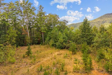 0 Grassy Mountain Rd unit 1521379, Chatsworth, GA 30705 - photo 4