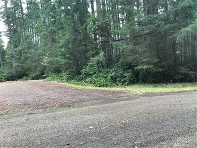 11311 Admiralty Way unit AI, Anderson Island, WA 98303 - photo 5