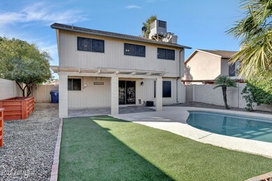 Backyard Grassy Area