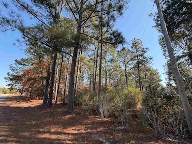 421 Easy St, Camden, SC 29020 - photo 5