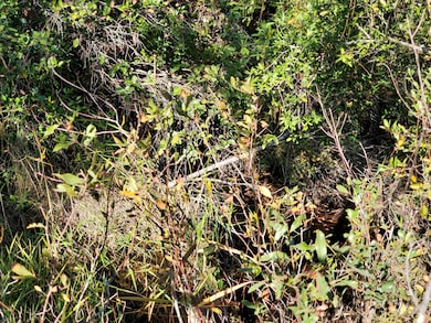 0 SW Prine Rd unit 19604535, Lee, FL 32059 - photo 5