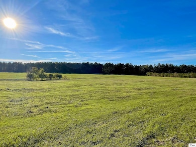 2 Louisiana 2, Lisbon, LA 71040 - photo 3