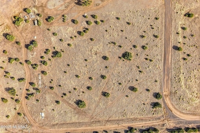 486 E Grassy St, Eagar, AZ 85925 - photo 3