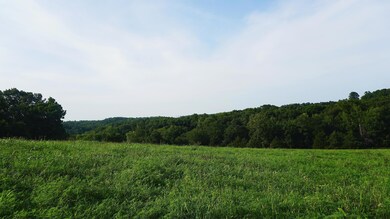 IMG_3633