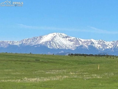 19215 Mariah Trail, Black Forest, CO 80908 - photo 3