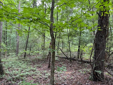 County Road 11, Ariton, AL 36311 - photo 3