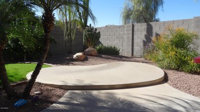 Back Deck Area
