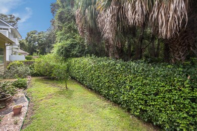 backyard (1)