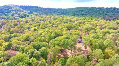 40ac Forest Service Rd 116, Patrick, AR 72727 - photo 2