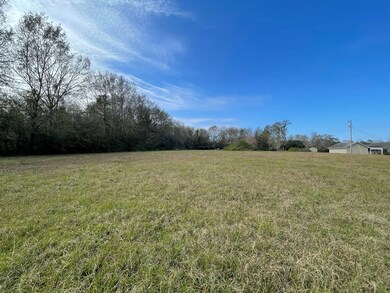 0 Mitchell Rd, Picayune, MS 39466 - photo 2