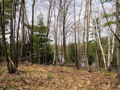 0 Old 35 unit 1518976, Siren, WI 54872 - photo 7