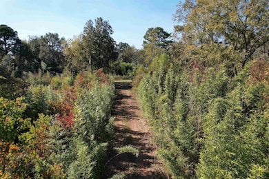 456 Marshall Ivy Rd, Huntington, TX 75949 - photo 2