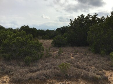 33057 Greenhill Dr, Whitney, TX 76692 - photo 6