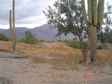 land view 4