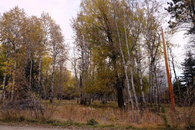 DSCF6224