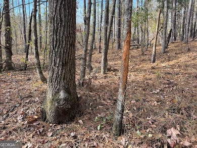 0 Old Middleton Rd unit 10651016, Elberton, GA 30635 - photo 5