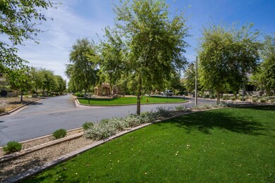 Grass Front Yard Overlooking Park
