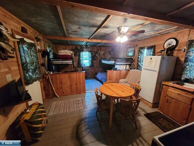 9298 Hingeley Rd, Meadowlands, MN 55765 - photo 6