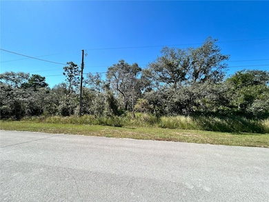 0 Woodstork Way unit MFRL4957348, Frostproof, FL 33843 - photo 5