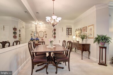 11306 Westbrook Mill Ln unit 203, Fairfax, VA 22030 - photo 6