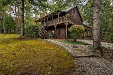 1994 Douthit Rd, Mineral Bluff, GA 30559 - photo 3