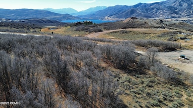 dji_fly_20251104_115704_272_176228360031