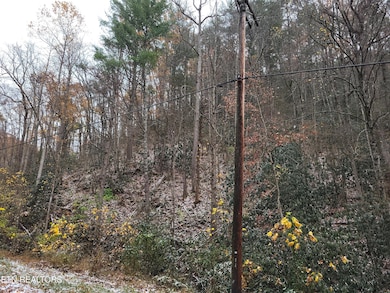 Lot 37/38 Alpine Dr, Sevierville, TN 37876 - photo 2