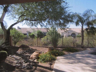 Back Yard View from Kitchen