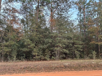 16,17,18 Paradise Cir, Donalsonville, GA 39845 - photo 3