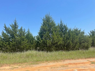 15916 Lola Rd, Norman, OK 73026 - photo 7