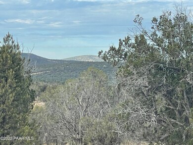 53784 Juniper Way, Seligman, AZ 86337 - photo 6