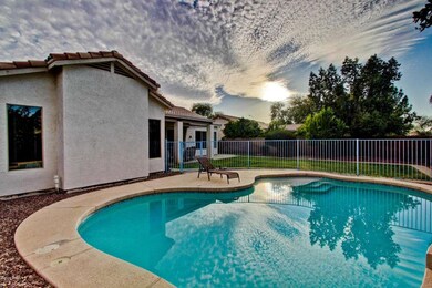 Gorgeous Pool & lounge chair area