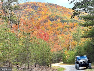 38 Gray Squirrel, Moorefield, WV 26836 - photo 6