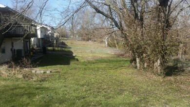 Fitzpatrick 387 E Hackberry back yard ph
