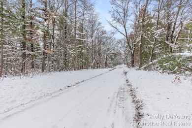 6007 S Cypress Ave, Croton Township, MI 49337 - photo 2