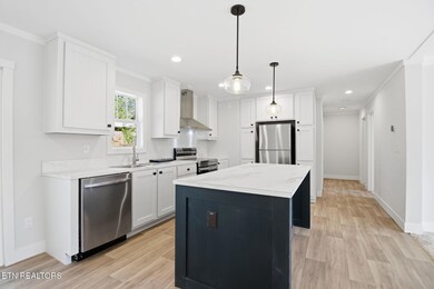 370 Tanasi Dr, Newport, TN 37821 - photo 7